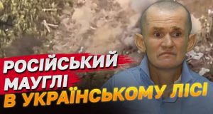 Окупант місяцями блукав лісами, бо марились фашисти! ЗСУ врятували (ВІДЕО) Окупант місяцями блукав лісами, бо марились фашисти! ЗСУ врятували (ВІДЕО)