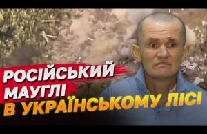 Окупант місяцями блукав лісами, бо марились фашисти! ЗСУ врятували (ВІДЕО) Окупант місяцями блукав лісами, бо марились фашисти! ЗСУ врятували (ВІДЕО)