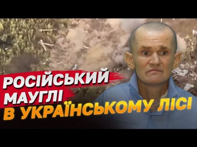 Окупант місяцями блукав лісами, бо марились фашисти! ЗСУ врятували (ВІДЕО) Окупант місяцями блукав лісами, бо марились фашисти! ЗСУ врятували (ВІДЕО)
