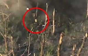 Тіло окупанта вилітає із кущів і летить у повітрі з широко розставленими руками після удару... Тіло-окупанта-вилітає-із-кущів-і-летить-у-повітрі-з-широко-розставленими-руками-після-удару.