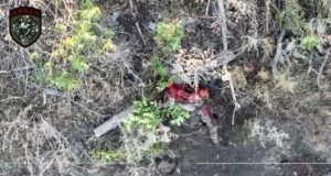 Розірвані тіла російських піхотинців валяються у посадці. ВIДЕО 18+ Розірвані-тіла-російських-піхотинців-валяються-у-посадці.-ВiДЕО-18+