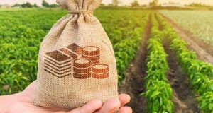 На Волині сплачено понад 444 мільйони гривень плати за землю На-Волині-сплачено-понад-444-мільйони-гривень-плати-за-землю