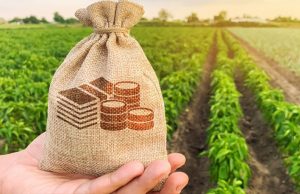 На Волині сплачено понад 444 мільйони гривень плати за землю На-Волині-сплачено-понад-444-мільйони-гривень-плати-за-землю