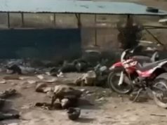 Тіла окупантів валяються на полігоні окупованої Донеччини після атаки РСЗВ “HIMARS”. ВIДЕО Тіла-окупантів-валяються-на-полігоні-окупованої-Донеччини-після-атаки-РСЗВ-“himars”.-ВiДЕО