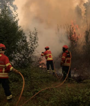 Україна запропонувала свою допомогу Португалії