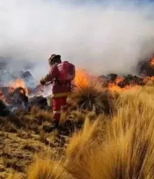 Перу-бореться-з-масштабними-лісовими-пожежами-по-всій-країні