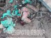 Окупант втратив голову після скиду із українського безпілотника. ВIДЕО 18+ Окупант-втратив-голову-після-скиду-із-українського-безпілотника.-ВiДЕО-18+