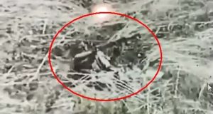 Російський військовослужбовець пустив собі кулю в голову на полі бою. ВIДЕО Російський-військовослужбовець-пустив-собі-кулю-в-голову-на-полі-бою.-ВiДЕО