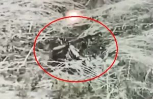 Російський військовослужбовець пустив собі кулю в голову на полі бою. ВIДЕО Російський-військовослужбовець-пустив-собі-кулю-в-голову-на-полі-бою.-ВiДЕО