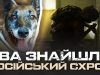 “Там може бути пастка”: як кінологи “Омеги” шукають російські схрони на Харківщині. ВIДЕО “Там-може-бути-пастка”:-як-кінологи-“Омеги”-шукають-російські-схрони-на-Харківщині.-ВiДЕО