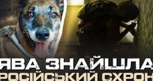 “Там може бути пастка”: як кінологи “Омеги” шукають російські схрони на Харківщині. ВIДЕО “Там-може-бути-пастка”:-як-кінологи-“Омеги”-шукають-російські-схрони-на-Харківщині.-ВiДЕО