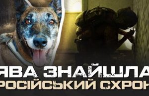 “Там може бути пастка”: як кінологи “Омеги” шукають російські схрони на Харківщині. ВIДЕО “Там-може-бути-пастка”:-як-кінологи-“Омеги”-шукають-російські-схрони-на-Харківщині.-ВiДЕО