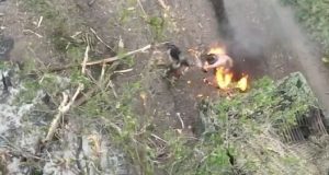 Охоплений вогнем окупант знімає із себе одяг і конає голим серед поля. ВIДЕО 18+ Охоплений-вогнем-окупант-знімає-із-себе-одяг-і-конає-голим-серед-поля.-ВiДЕО-18+