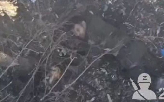 Бійці 5-ї ОШБр ліквідували штурмову групу із семи окупантів. ВIДЕО Бійці-5-ї-ОШБр-ліквідували-штурмову-групу-із-семи-окупантів.-ВiДЕО