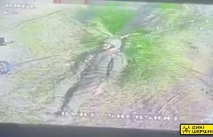 Дрон-камікадзе “Дикий Шершень” прилітає прямо по окупанту від бійців 3 ОШБр. ВIДЕО Дрон-камікадзе-“Дикий-Шершень”-прилітає-прямо-по-окупанту-від-бійців-3-ОШБр.-ВiДЕО