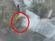 Окупант у бою невміло кинув гранату і вона вибухнула поряд із ним. ВIДЕО Окупант-у-бою-невміло-кинув-гранату-і-вона-вибухнула-поряд-із-ним.-ВiДЕО