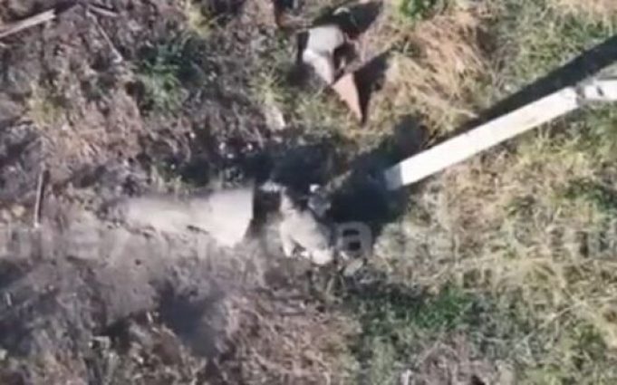Через свої розміри росіянин не зміг сховатися у бетонній трубі від атаки дрона. ВIДЕО Через-свої-розміри-росіянин-не-зміг-сховатися-у-бетонній-трубі-від-атаки-дрона.-ВiДЕО