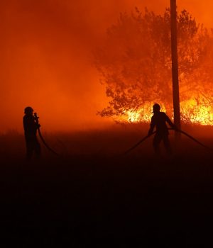 На Полтавщині ліквідували лісову пожежу, яка вирувала два тижні