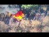 Очі та Жало: Вйо/day5. (ВІДЕО) Очі та Жало: Вйо/day5. (ВІДЕО)