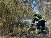 Протягом минулої доби рятувальники Володимирського району ліквідували 6 пожеж, з них 3 в екосистемах