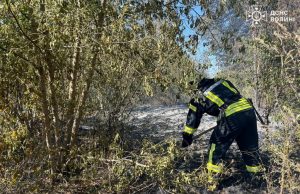 Протягом минулої доби рятувальники Володимирського району ліквідували 6 пожеж, з них 3 в екосистемах