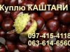 Куплю Каштани по 5 грн/кг!