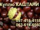 Куплю Каштани по 5 грн/кг!