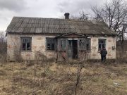 Будинок в селі Литовеж