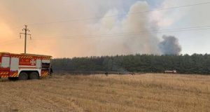 Внаслідок російського обстрілу на Харківщині загорілися 15 гектарів лісу. ВІДЕО+ФОТОрепортаж Внаслідок-російського-обстрілу-на-Харківщині-загорілися-15-гектарів-лісу.-ВІДЕО+ФОТОрепортаж