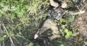 Вісьмох окупантів ліквідували скидами оператори дронів 5-ї ОШБр на покровському напрямку. ВIДЕО Вісьмох-окупантів-ліквідували-скидами-оператори-дронів-5-ї-ОШБр-на-покровському-напрямку.-ВiДЕО