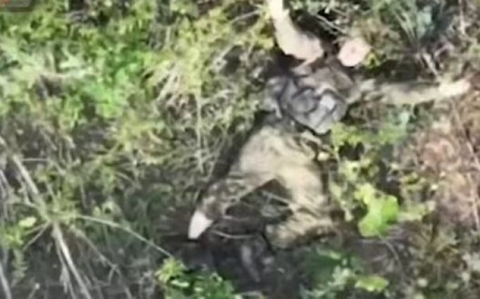 Вісьмох окупантів ліквідували скидами оператори дронів 5-ї ОШБр на покровському напрямку. ВIДЕО Вісьмох-окупантів-ліквідували-скидами-оператори-дронів-5-ї-ОШБр-на-покровському-напрямку.-ВiДЕО