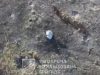 Український дрон знищує намет з російським “туристом”. ВIДЕО Український-дрон-знищує-намет-з-російським-“туристом”.-ВiДЕО