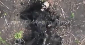 Чотири десятки тіл окупантів валяються на полі бою на Сватівському напрямку. ВIДЕО 18+ Чотири-десятки-тіл-окупантів-валяються-на-полі-бою-на-Сватівському-напрямку.-ВiДЕО-18+