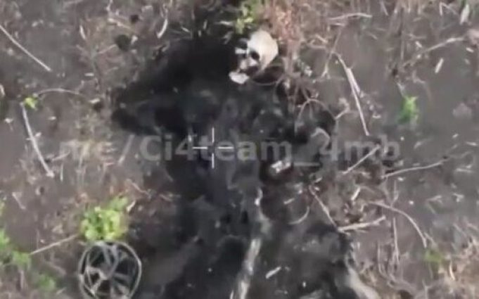 Чотири десятки тіл окупантів валяються на полі бою на Сватівському напрямку. ВIДЕО 18+ Чотири-десятки-тіл-окупантів-валяються-на-полі-бою-на-Сватівському-напрямку.-ВiДЕО-18+