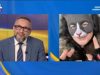 В ефірі телемарафону “Єдині новини” ведучий взяв коментар у “квадроберки”. ВIДЕО В-ефірі-телемарафону-“Єдині-новини”-ведучий-взяв-коментар-у-“квадроберки”.-ВiДЕО