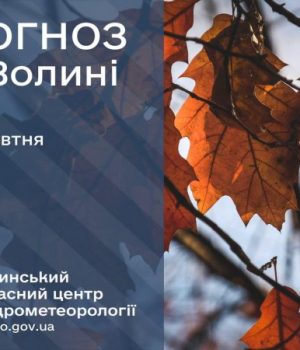 Погода-в-Луцьку-та-Волинській-області-на-завтра,-8-жовтня