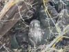 Штурмова група із 16 окупантів знищена на Курщині. ВIДЕО Штурмова-група-із-16-окупантів-знищена-на-Курщині.-ВiДЕО