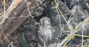 Штурмова група із 16 окупантів знищена на Курщині. ВIДЕО Штурмова-група-із-16-окупантів-знищена-на-Курщині.-ВiДЕО