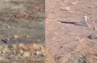 Знищення дронами трьох російських піхотинців на Покровському напрямку. ВIДЕО Знищення-дронами-трьох-російських-піхотинців-на-Покровському-напрямку.-ВiДЕО