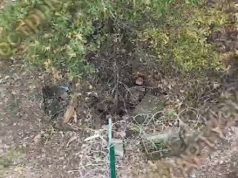 Група окупантів була знищена дронами на межі Харківської та Білгородської областей. ВIДЕО Група-окупантів-була-знищена-дронами-на-межі-Харківської-та-Білгородської-областей.-ВiДЕО