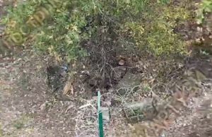 Група окупантів була знищена дронами на межі Харківської та Білгородської областей. ВIДЕО Група-окупантів-була-знищена-дронами-на-межі-Харківської-та-Білгородської-областей.-ВiДЕО