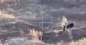Бійці 68 ОЄБр ліквідували російського загарбника дроном-камікадзе. ВIДЕО Бійці-68-ОЄБр-ліквідували-російського-загарбника-дроном-камікадзе.-ВiДЕО