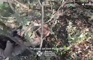 Прикордонники взяли в полон окупанта, який кричав про допомогу: “Меня кинули!”. ВIДЕО Прикордонники-взяли-в-полон-окупанта,-який-кричав-про-допомогу:-“Меня-кинули!”.-ВiДЕО