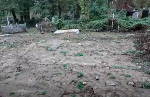 Алея пам’яті захисників України по вул. Оранжерейна, 2 в Києві під загрозою знищення, – ГО... Алея-пам’яті-захисників-України-по-вул-Оранжерейна,-2-в-Києві-під-загрозою-знищення,-–-ГО.