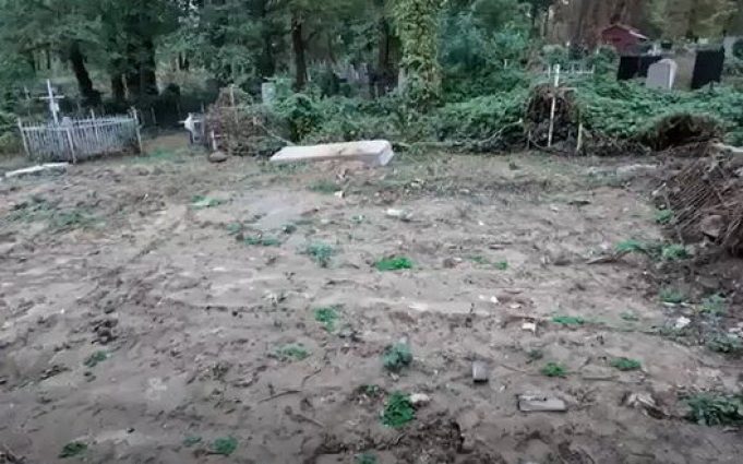 Алея пам’яті захисників України по вул. Оранжерейна, 2 в Києві під загрозою знищення, – ГО... Алея-пам’яті-захисників-України-по-вул-Оранжерейна,-2-в-Києві-під-загрозою-знищення,-–-ГО.