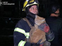 За тиждень росіяни запустили по Україні близько 900 КАБів, – Зеленський. ВIДЕО За-тиждень-росіяни-запустили-по-Україні-близько-900-КАБів,-–-Зеленський.-ВiДЕО