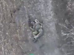 Троє окупантів на околицях Селідово підриваються на мінах. ВIДЕО Троє-окупантів-на-околицях-Селідово-підриваються-на-мінах.-ВiДЕО