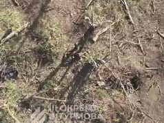 Бійці 3-ї ОШБр скидами з дронів знищують окупантів на Харківщині. ВIДЕО Бійці-3-ї-ОШБр-скидами-з-дронів-знищують-окупантів-на-Харківщині.-ВiДЕО