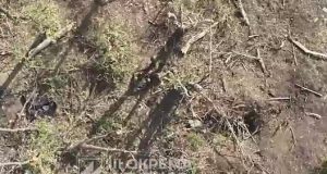 Бійці 3-ї ОШБр скидами з дронів знищують окупантів на Харківщині. ВIДЕО Бійці-3-ї-ОШБр-скидами-з-дронів-знищують-окупантів-на-Харківщині.-ВiДЕО