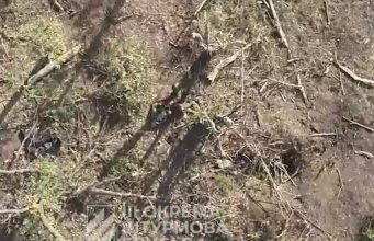 Бійці 3-ї ОШБр скидами з дронів знищують окупантів на Харківщині. ВIДЕО Бійці-3-ї-ОШБр-скидами-з-дронів-знищують-окупантів-на-Харківщині.-ВiДЕО